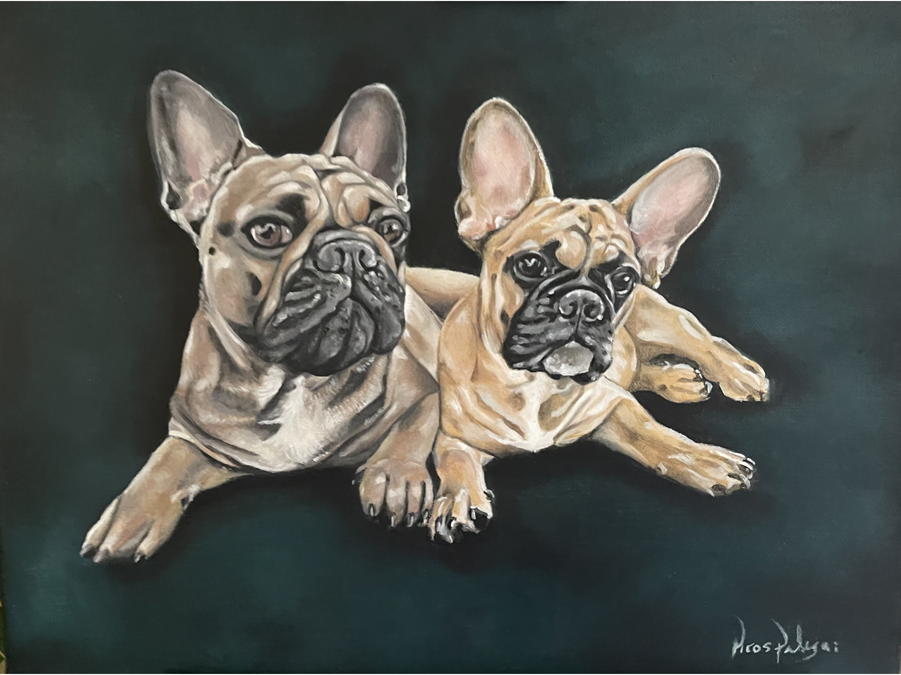 "Beloved Frenchies" 12X22" Oil on Canvas